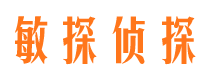 随县市调查公司